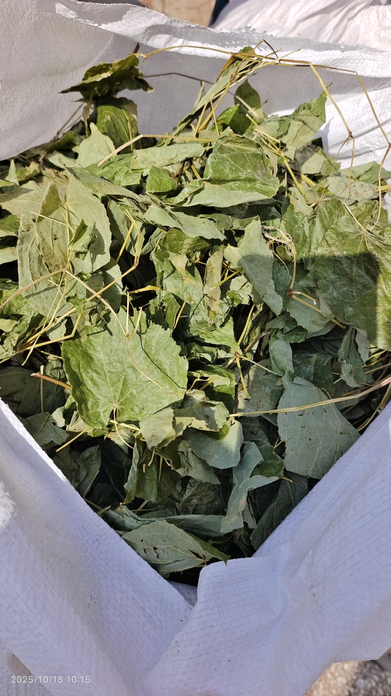 东北淫羊藿全草整叶颜色好2斤包邮量大优惠