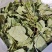 东北淫羊藿全草整叶颜色好2斤包邮量大优惠