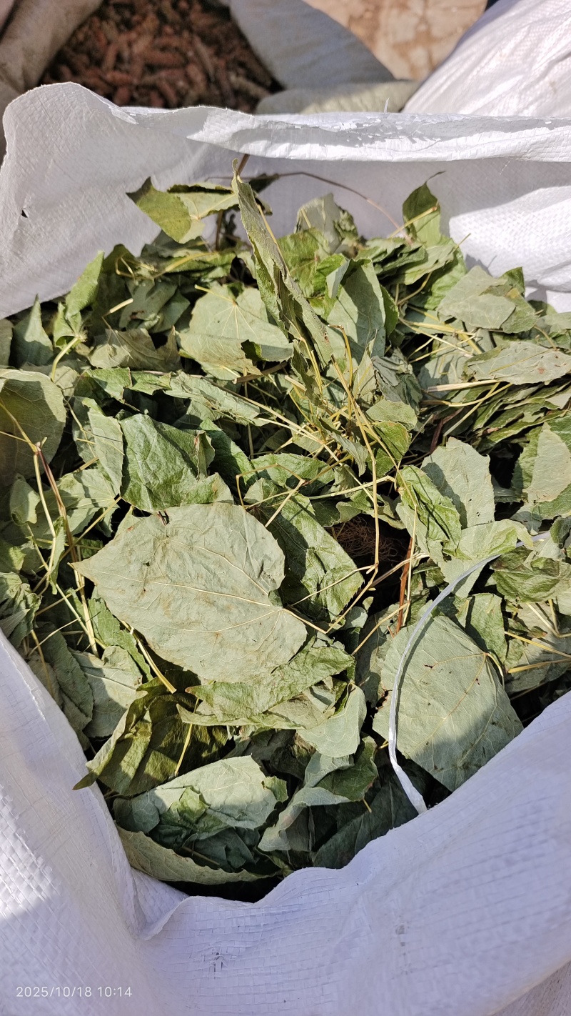 东北淫羊藿全草整叶颜色好2斤包邮量大优惠