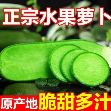 潍坊正宗水果萝卜支持一件代发，电商，多多货，抖音视频号