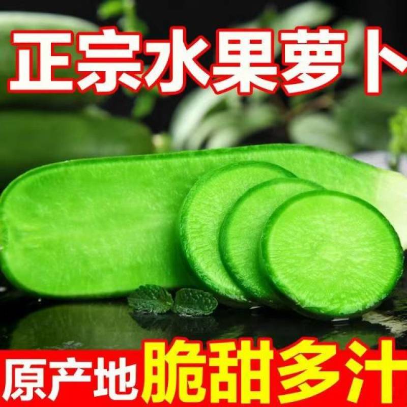 潍坊正宗水果萝卜支持一件代发，电商，多多货，抖音视频号