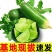 潍坊正宗水果萝卜支持一件代发，电商，多多货，抖音视频号