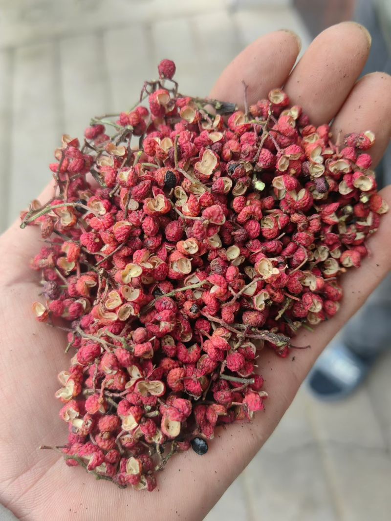 大红袍花椒精品货香麻可口味道好