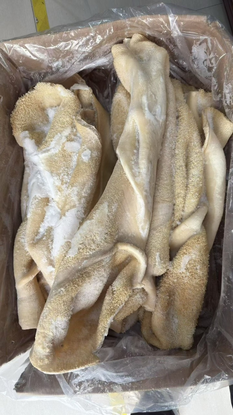 牛肚