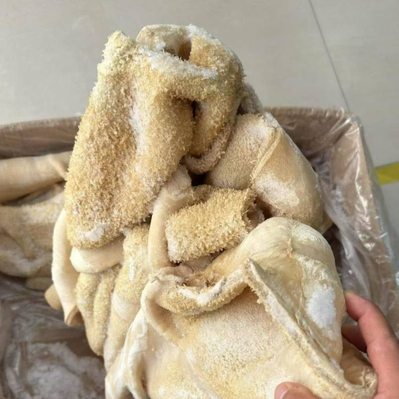 牛肚