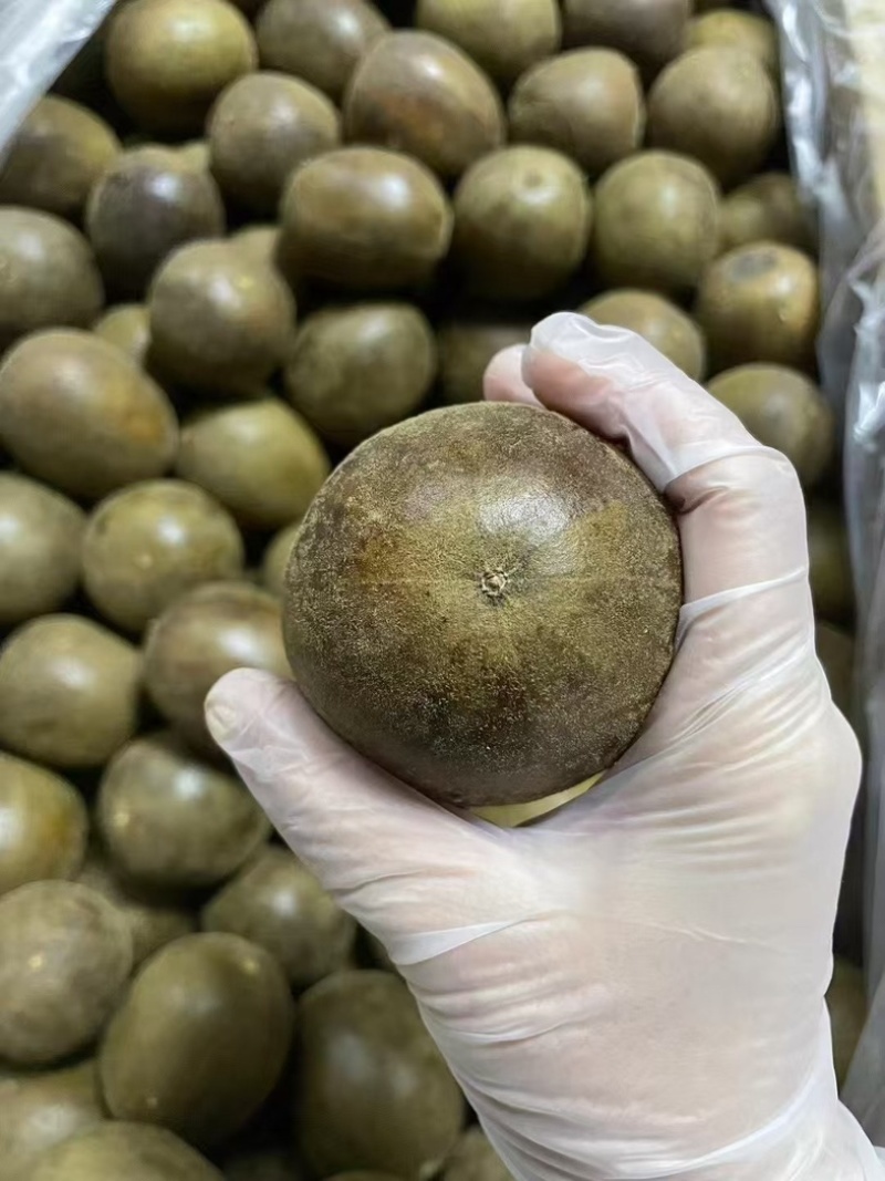 大货批发广西桂罗汉果罗汉果籽罗汉果皮产地直发量大从优
