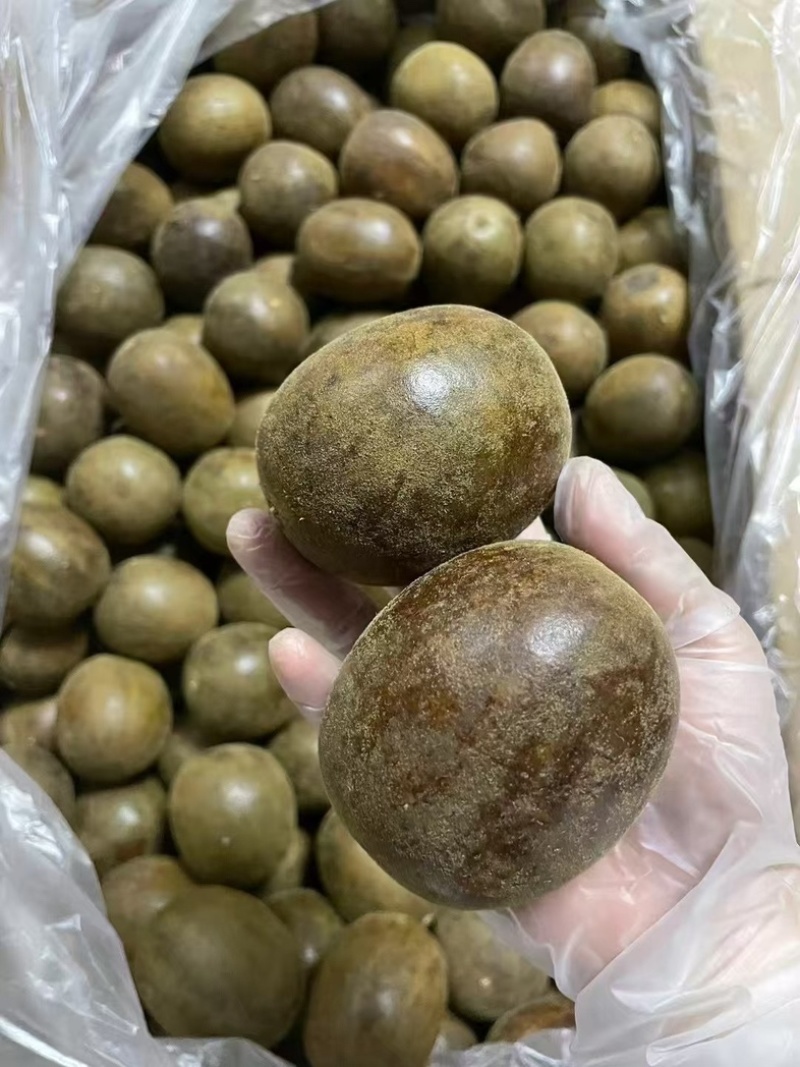 大货批发广西桂罗汉果罗汉果籽罗汉果皮产地直发量大从优