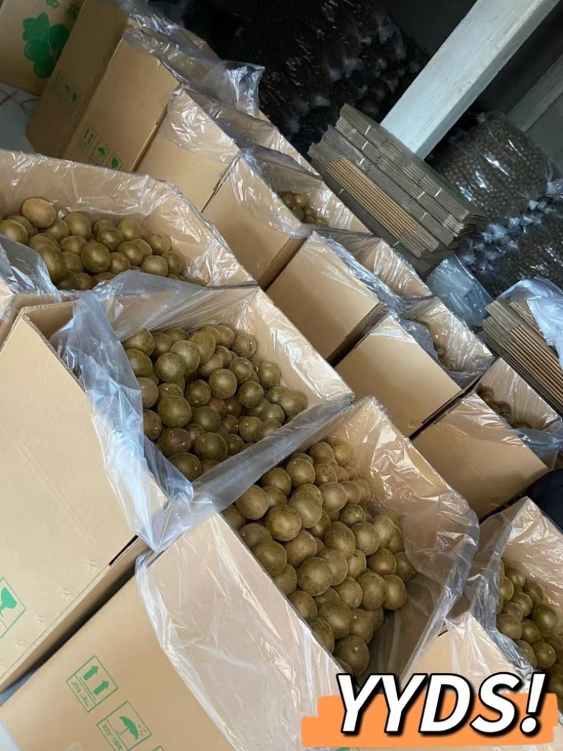 大货批发广西桂罗汉果罗汉果籽罗汉果皮产地直发量大从优