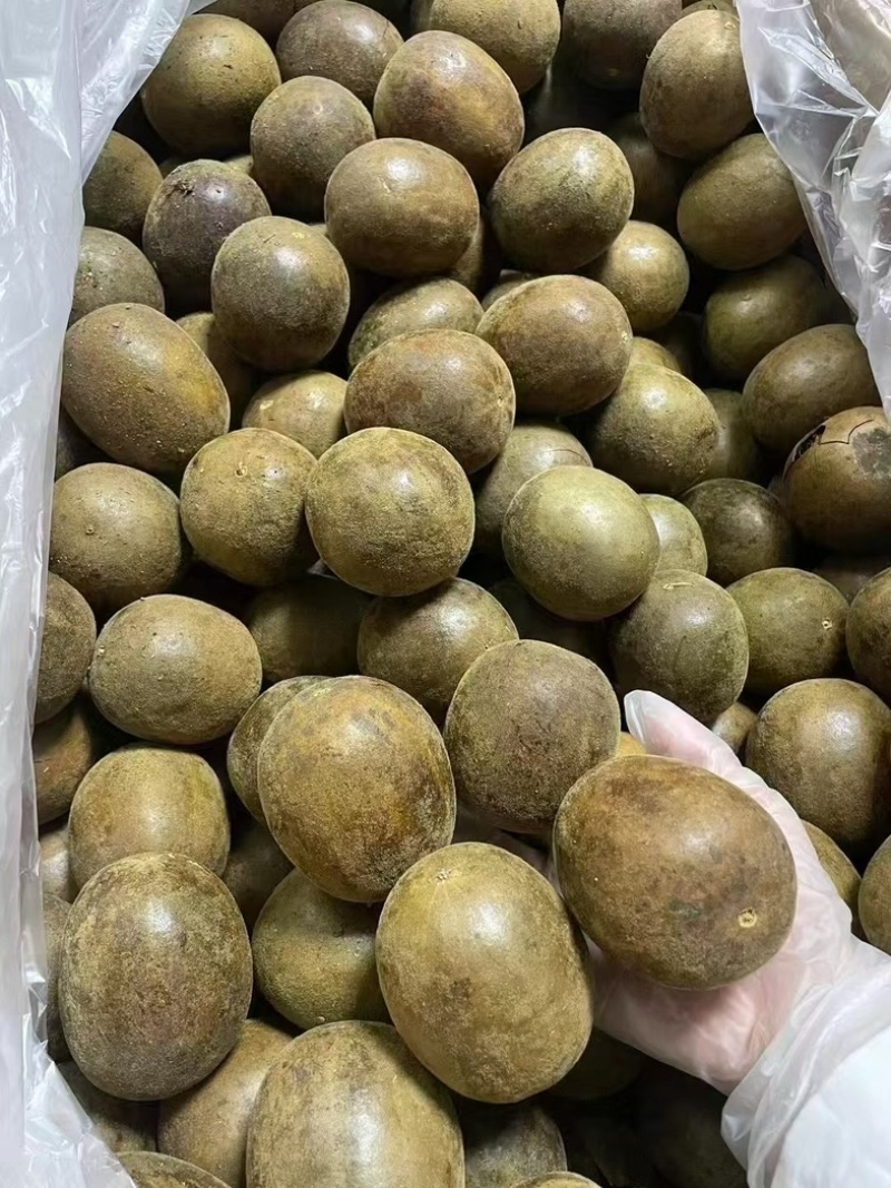 大货批发广西桂罗汉果罗汉果籽罗汉果皮产地直发量大从优