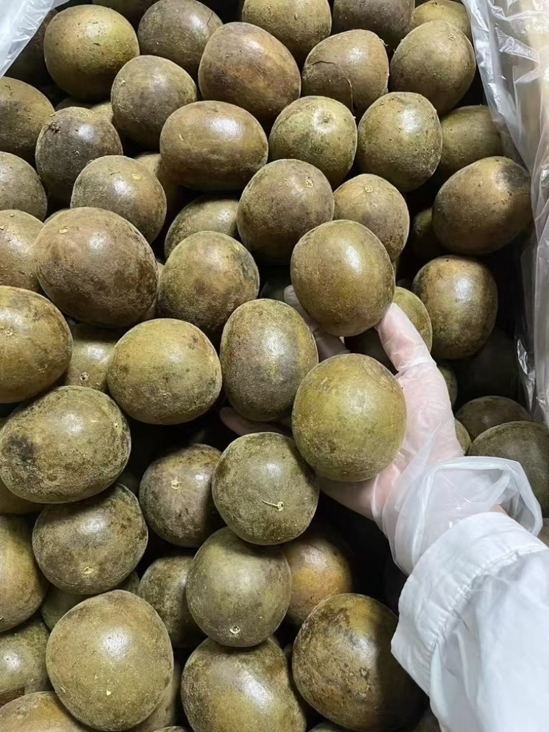 大货批发广西桂罗汉果罗汉果籽罗汉果皮产地直发量大从优