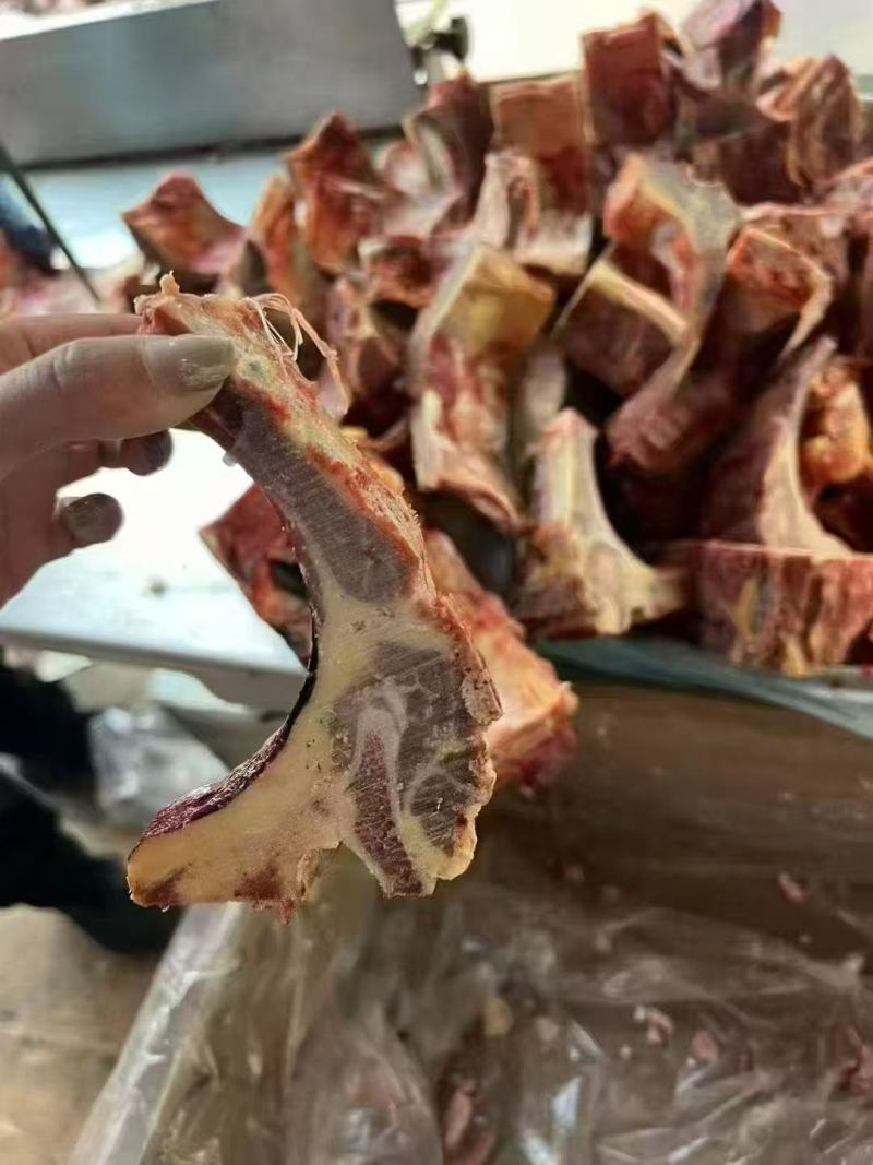 牛脊骨
