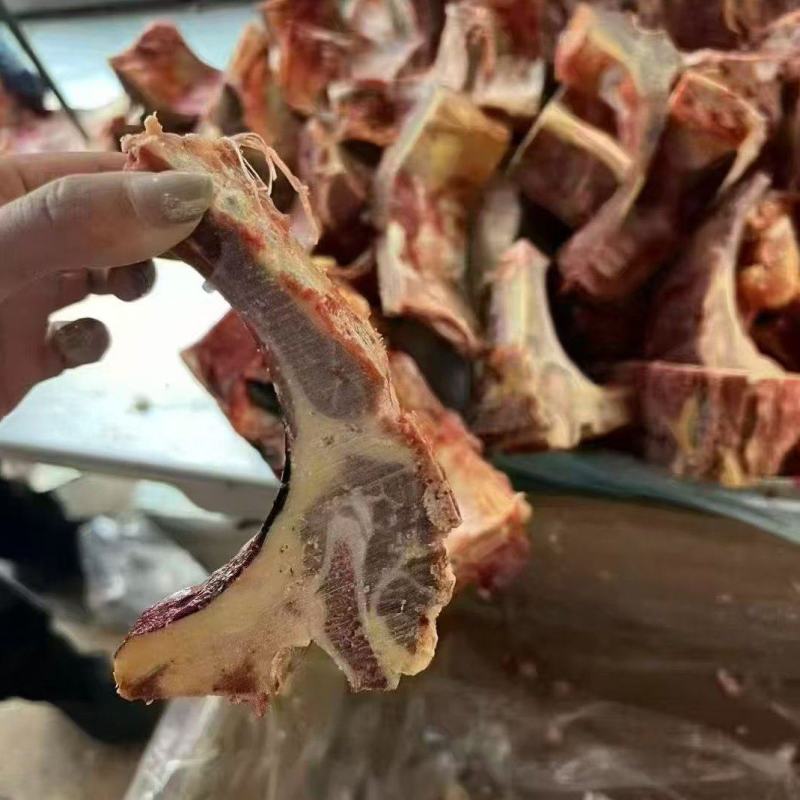 牛脊骨