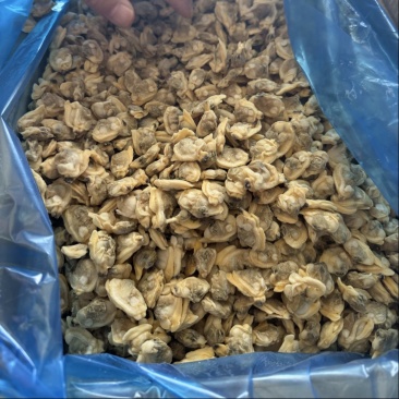 沙蚬子干对接线上线下销售