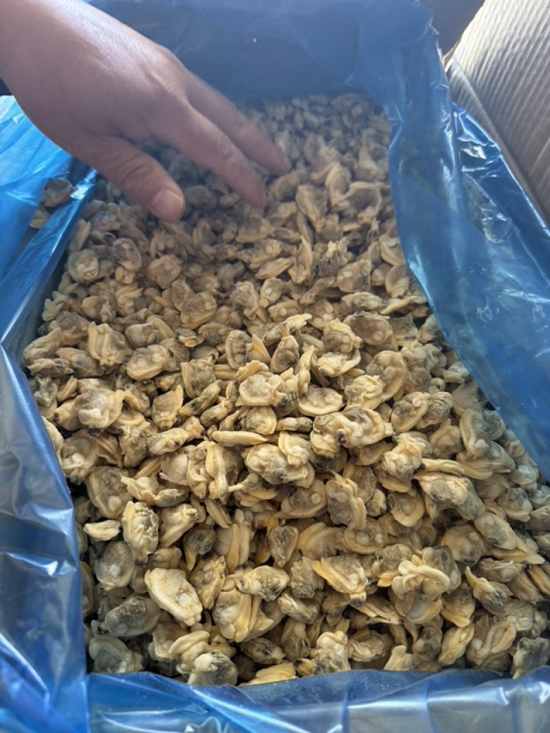 沙蚬子干对接线上线下销售