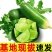 潍坊正宗水果萝卜支持一件代发，电商，多多货，抖音视频号