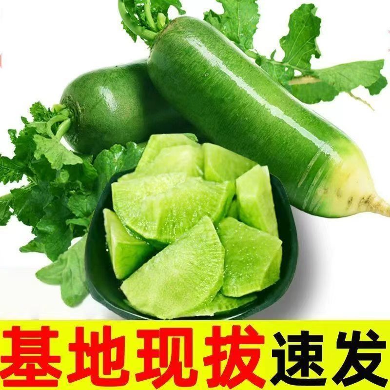 潍坊正宗水果萝卜支持一件代发，电商，多多货，抖音视频号