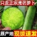 潍坊正宗水果萝卜支持一件代发，电商，多多货，抖音视频号