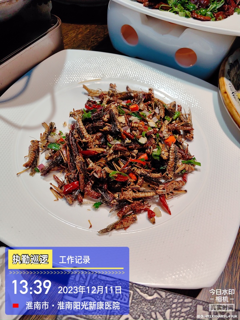 东亚飞蝗，冷冻蚂蚱，半成品蚂蚱，常年供应，质量稳定！颜色