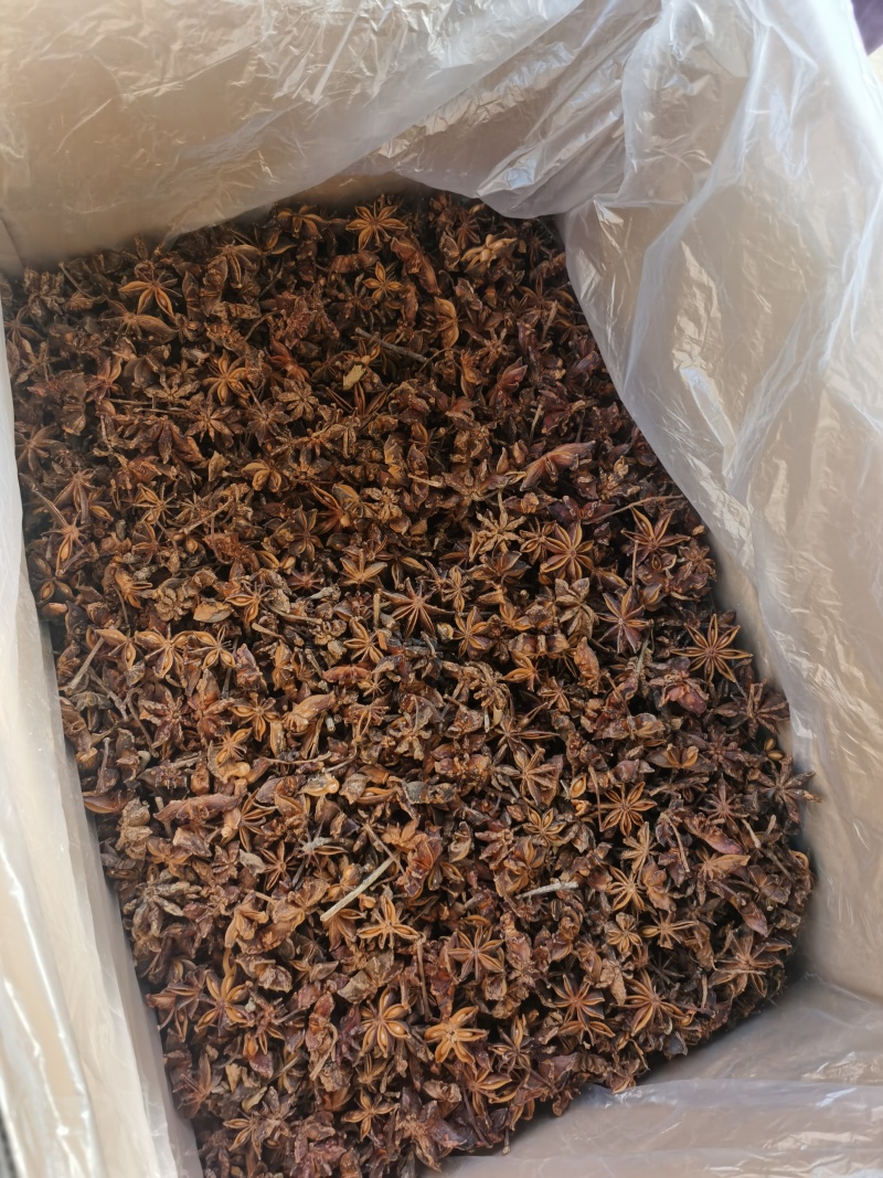 广西大红八角大量接单产地直发量大从优欢迎来电