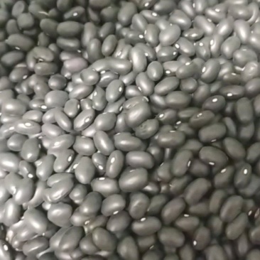 黑豆