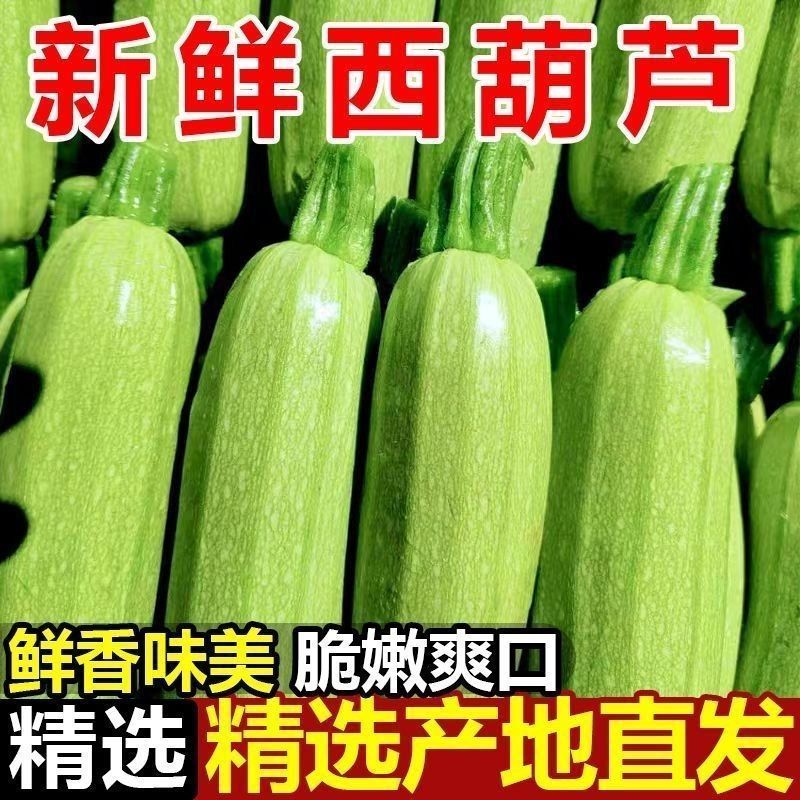 西葫芦/绿皮西葫芦/山东聊城发货/当天发货