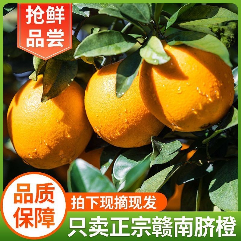赣南脐橙皮薄肉厚价格低质量好一件代发