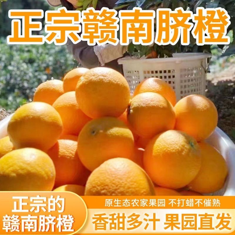 赣南脐橙皮薄肉厚价格低质量好一件代发