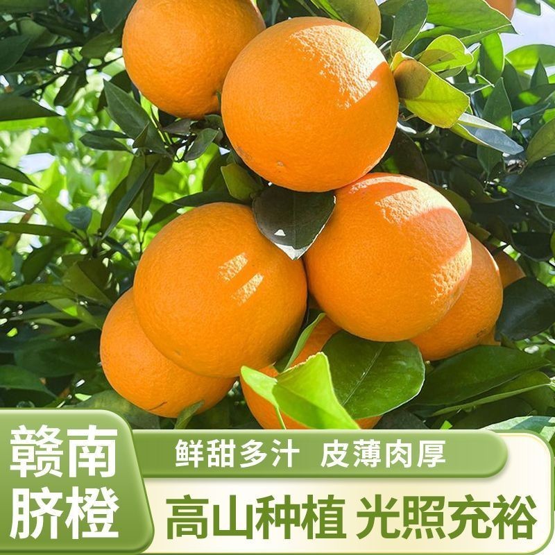 赣南脐橙皮薄肉厚价格低质量好一件代发
