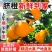 赣南脐橙皮薄肉厚价格低质量好一件代发