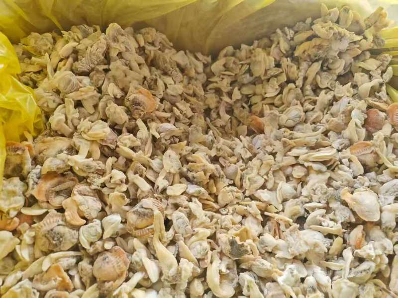 花蛤肉饲料，大块花蛤肉，干净，品质好。价格便宜，货源稳定