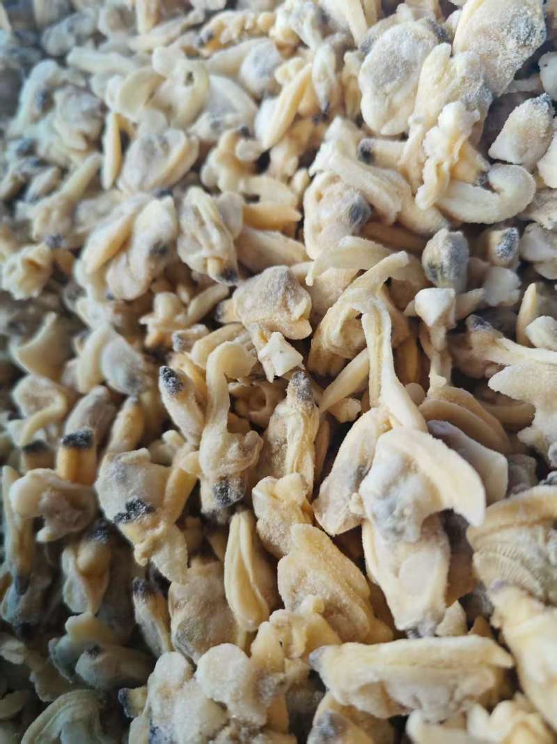 花蛤肉饲料，大块花蛤肉，干净，品质好。价格便宜，货源稳定