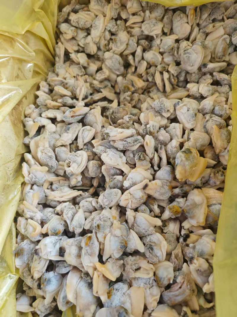 花蛤肉饲料，大块花蛤肉，干净，品质好。价格便宜，货源稳定