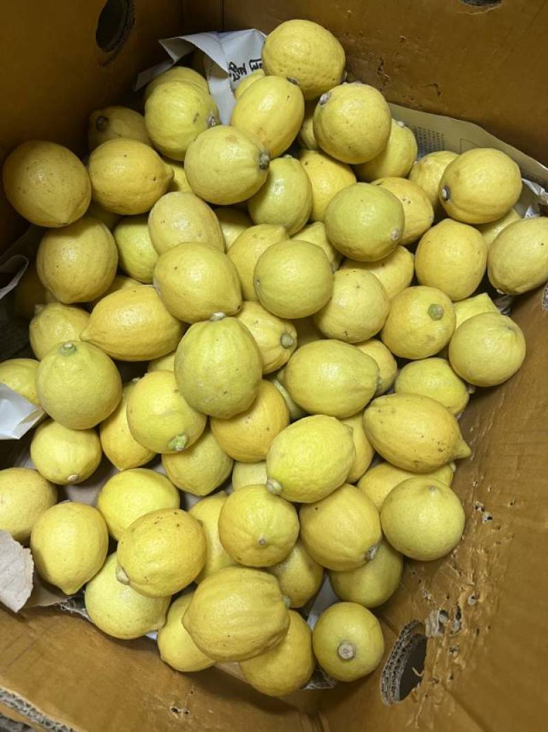 广东香水黄柠檬精品果，产地直发，品质保证，欢迎各地老板