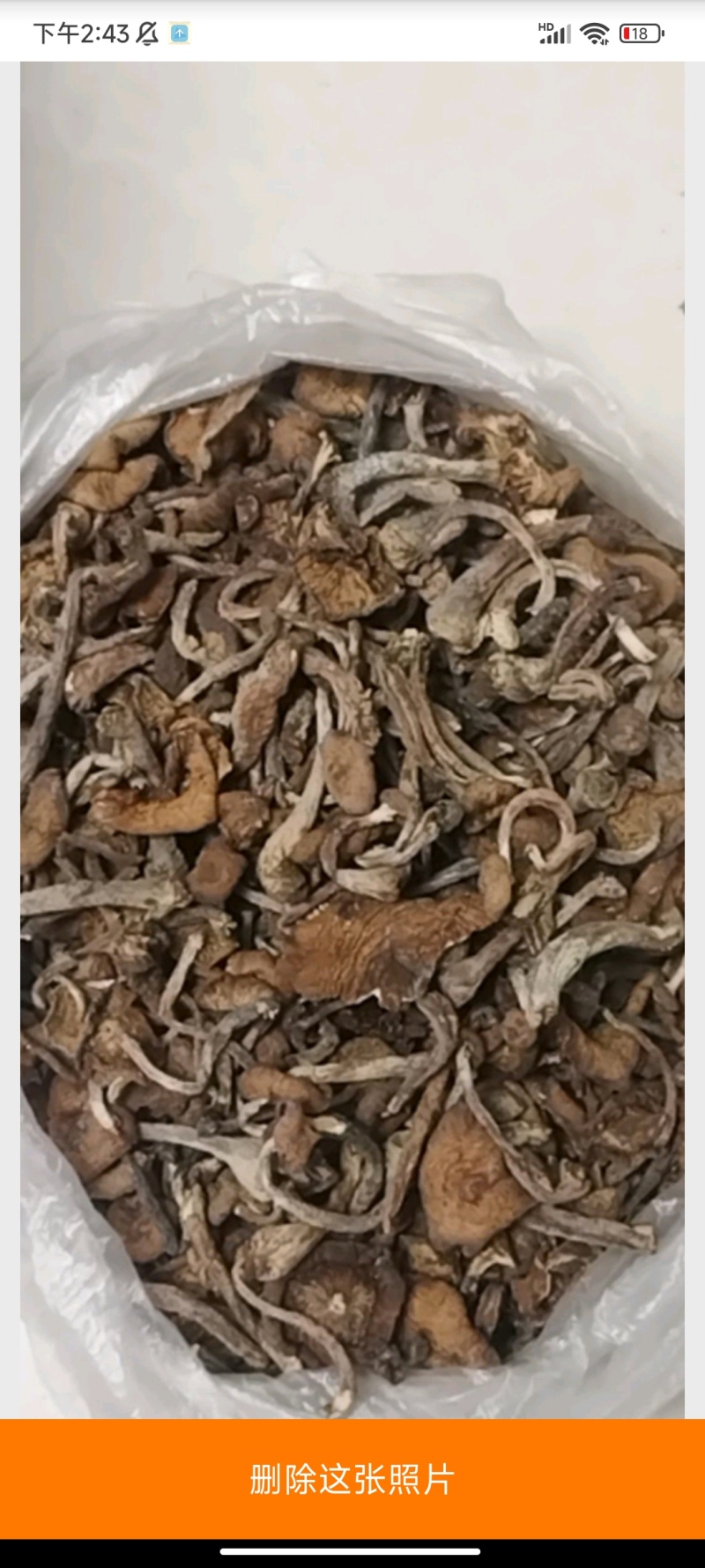 草蘑