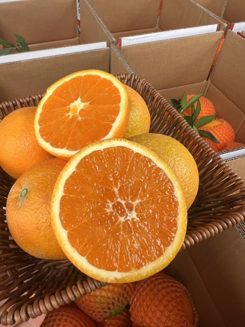 精品脐橙纽荷尔果冻橙大量上市支持各大商超市场一件代发等等