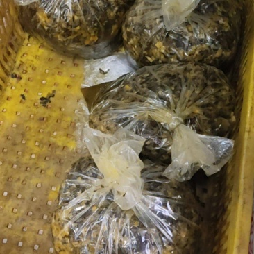 十斤装碎雪菜