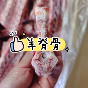 特价羊脊骨也叫羊刀片骨，超低福利价带板筋，带骨髓，带肉。