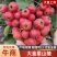打浆山楂大金星山楂大量上市市场电商超市需要联系我吧
