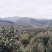 湘西山茶油
