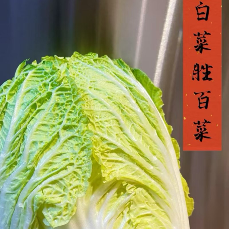 山东胶州白菜