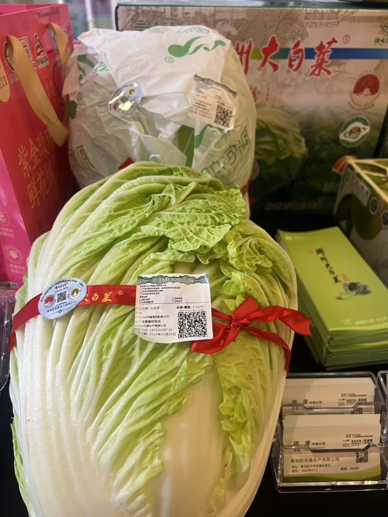 山东胶州白菜