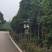 大量供应8-15公分香樟树3000棵，杆子直，树在湖南省