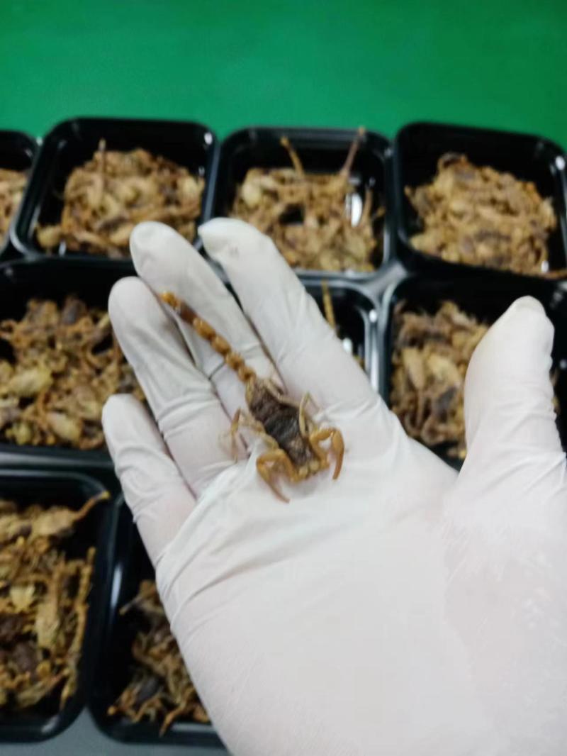 蝎子，油炸，烧烤，味道不错，补