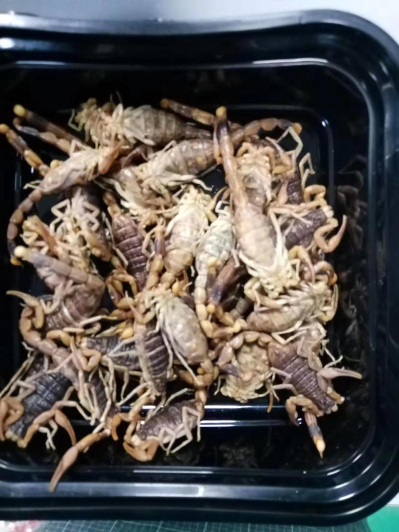 蝎子，油炸，烧烤，味道不错，补