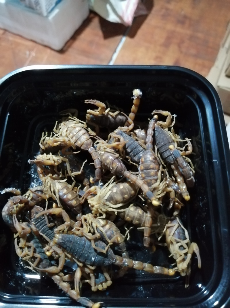 蝎子，油炸，烧烤，味道不错，补