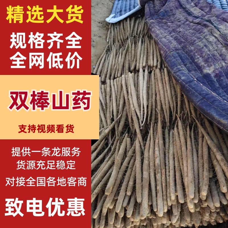 【实力推荐】精品双棒山药大货大量现货产地直销可对接全国