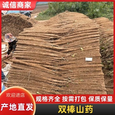【实力推荐】精品双棒山药大货大量现货产地直销可对接全国
