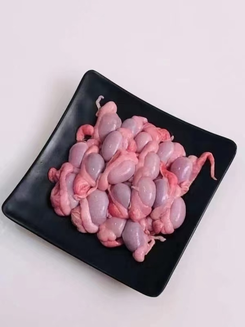 新鲜小猪蛋，冷鲜，常年供应！