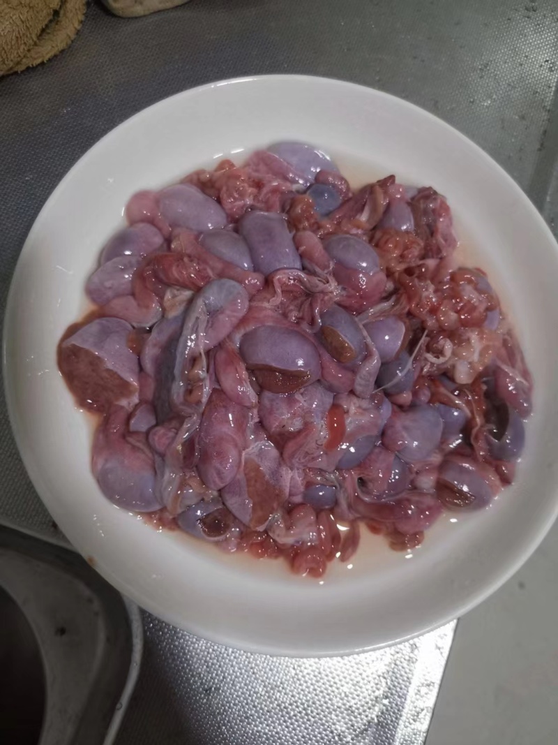 新鲜小猪蛋，冷鲜，常年供应！