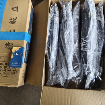 鲅鱼，单冻，马鲛鱼，燕尾鲅，质量好，规格齐全